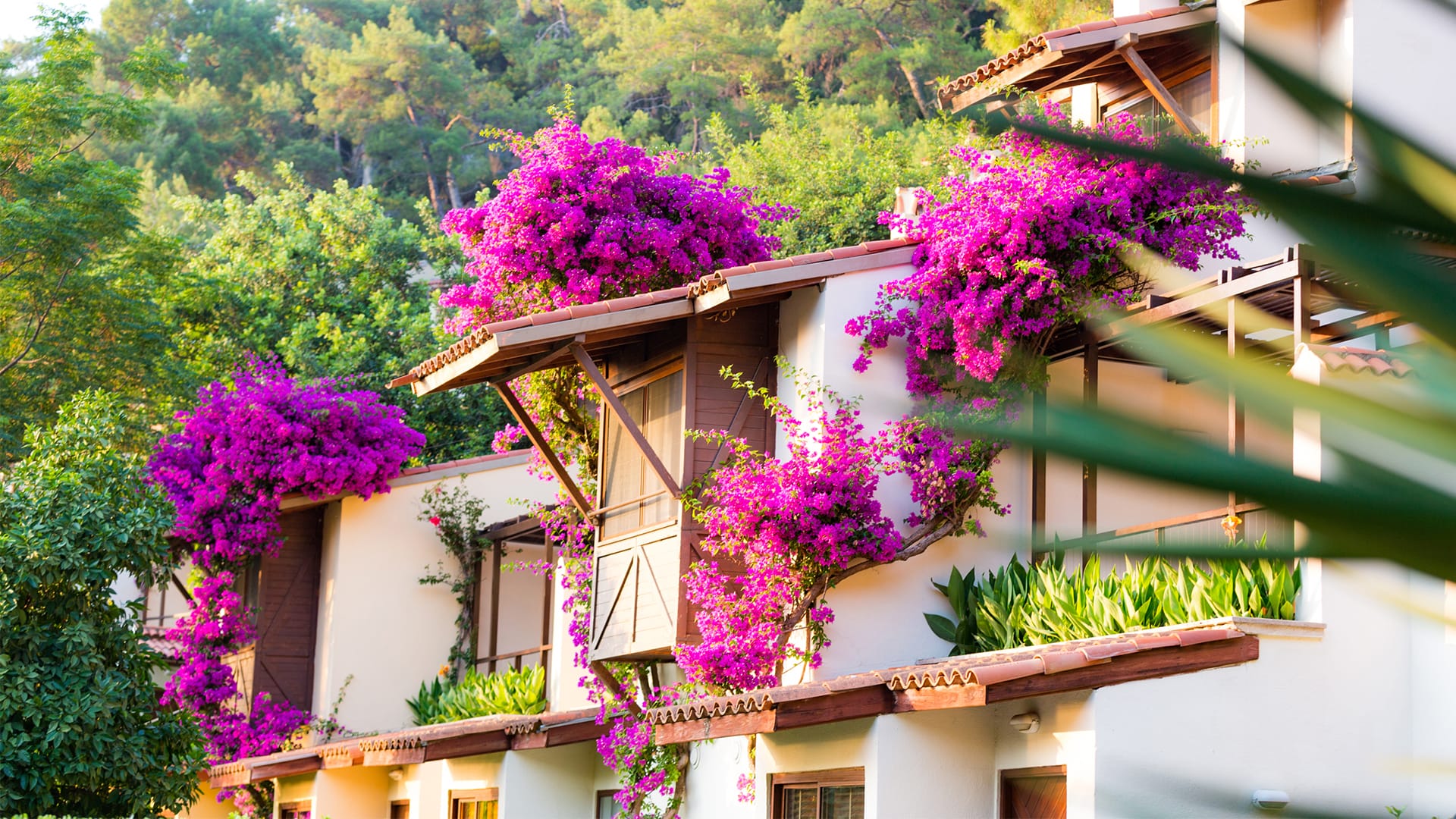 Superior Double Oda - Özel Teraslı 3